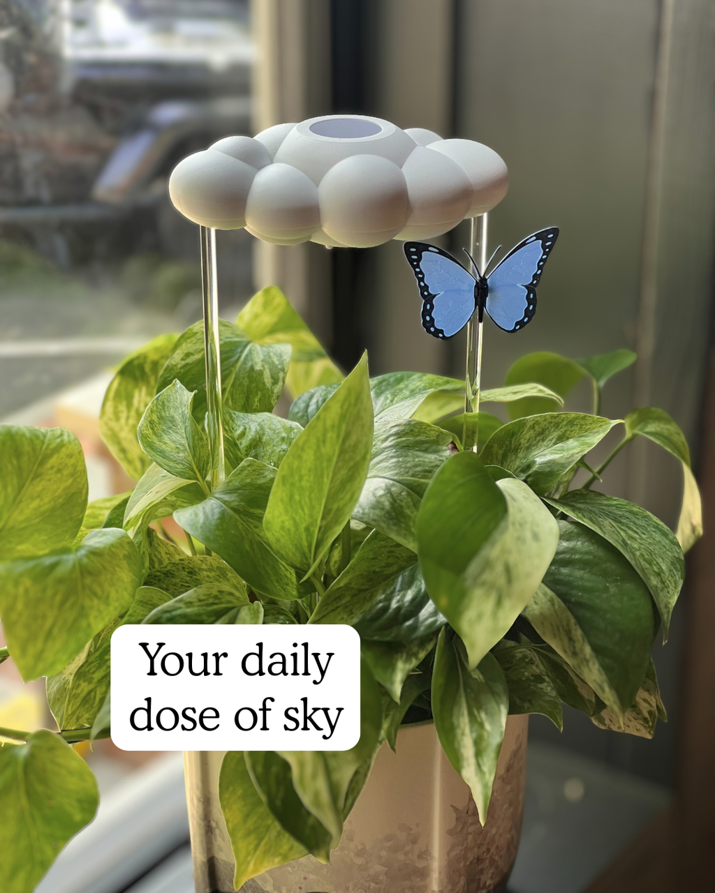 Original Dripping Rain Cloud